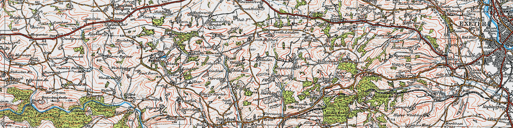 Old map of Bilsdon in 1919