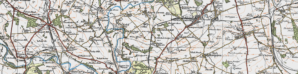 Old map of Binchester Blocks in 1925