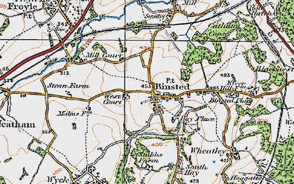 Old map of Binsted in 1919