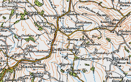 Old map of Birdsmoorgate in 1919