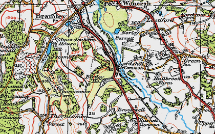 Old map of Birtley Green in 1920