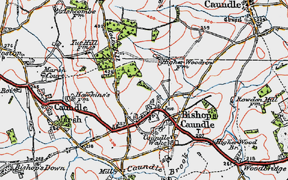 Old map of Bishop's Caundle in 1919