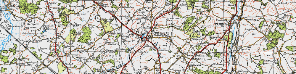 Old map of Bishop's Waltham in 1919