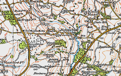 Old map of Bishopswood in 1919