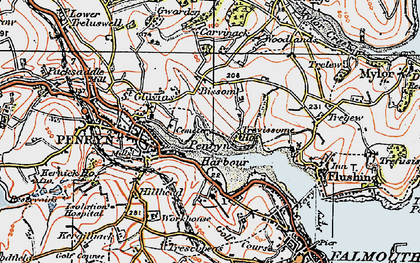 Old map of Bissom in 1919