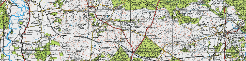Old map of Bisterne Close in 1919