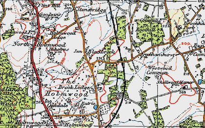 Old map of Blackbrook in 1920