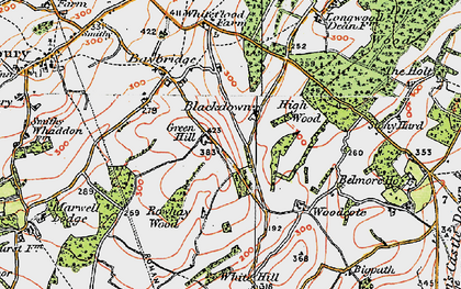 Old map of Blackdown in 1919