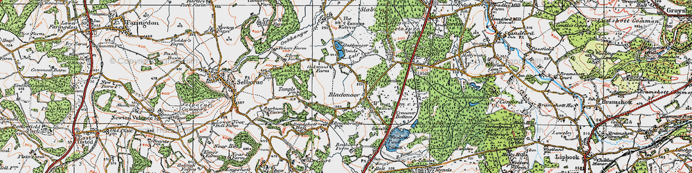 Old map of Bradshott Hall in 1919