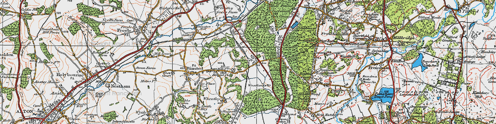 Old map of Blacknest in 1919