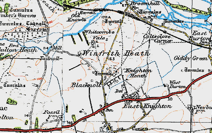 Old map of Whitcombe Vale in 1919
