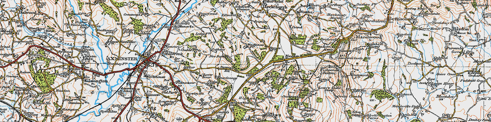 Old map of Wyld Warren in 1919