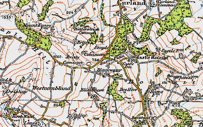 Old map of Britty Common in 1919