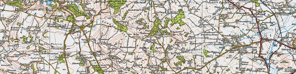 Old map of Britty Common in 1919
