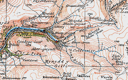 Old map of Blaengwynfi in 1923