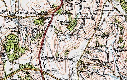 Old map of Blannicombe in 1919