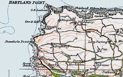 Old map of Blegbury in 1919