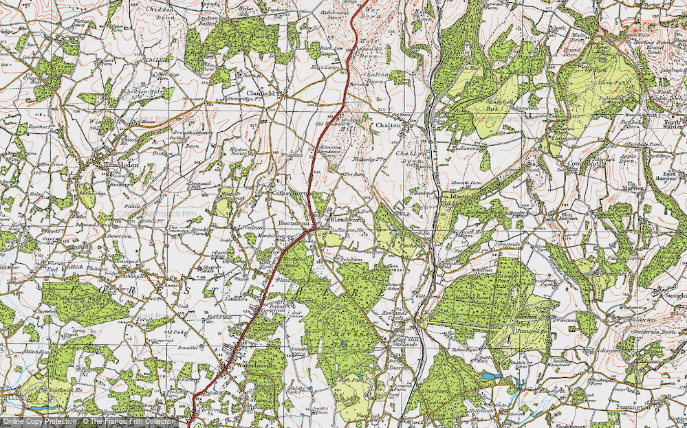 Old Map of Blendworth, 1919 in 1919