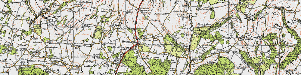 Old map of Blendworth in 1919