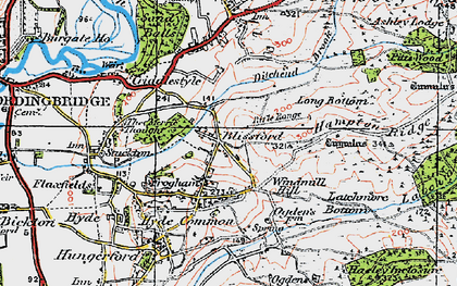 Old map of Blissford in 1919
