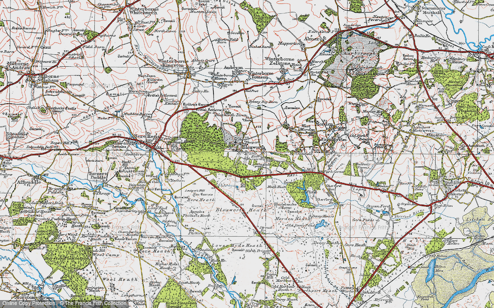 Old Map of Bloxworth, 1919 in 1919