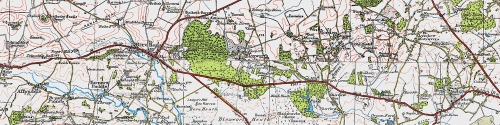 Old map of Bloxworth in 1919