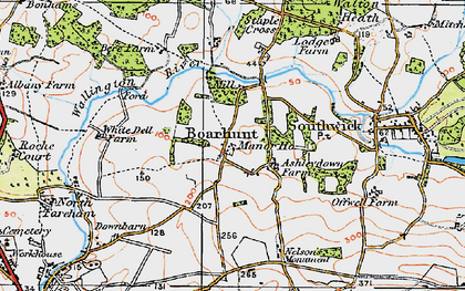 Old map of Boarhunt in 1919