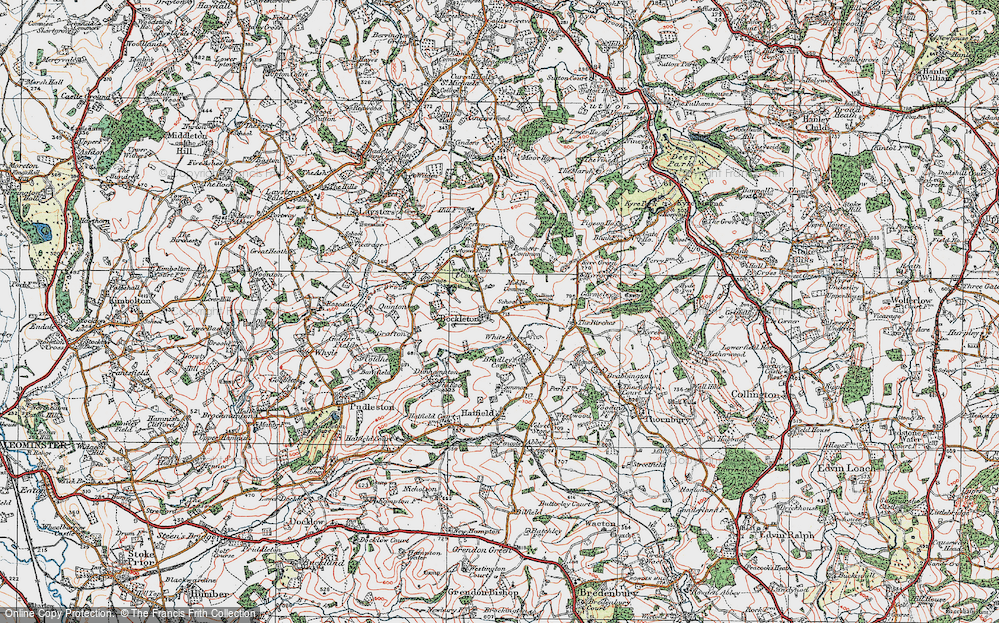 Old Map of Bockleton, 1920 in 1920