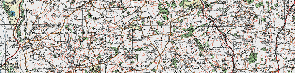Old map of Bockleton in 1920