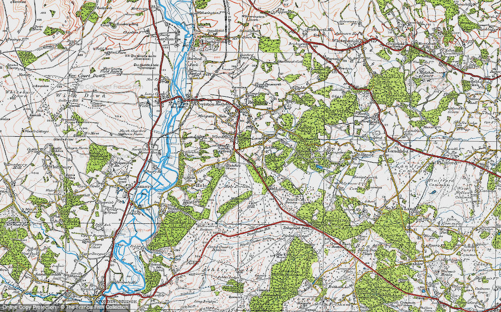 Old Map of Historic Map covering Hale Purlieu in 1919