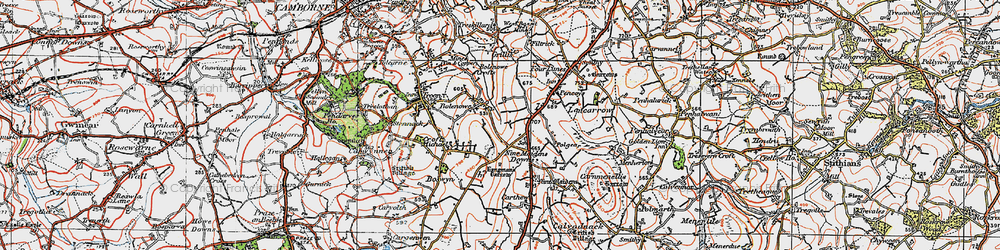 Old map of Bolenowe in 1919