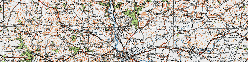 Old map of Bolham in 1919