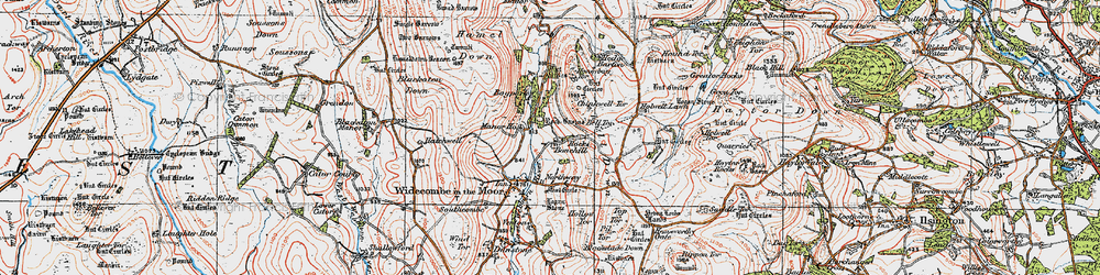 Old map of Bonehill Down in 1919