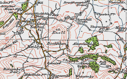 Old map of Bookham in 1919