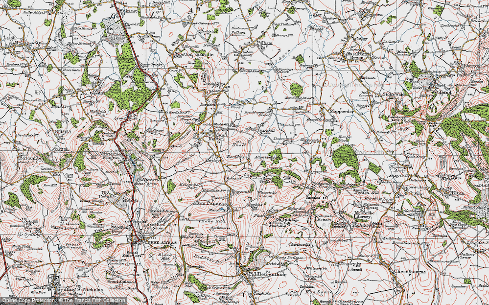 Bookham, 1919