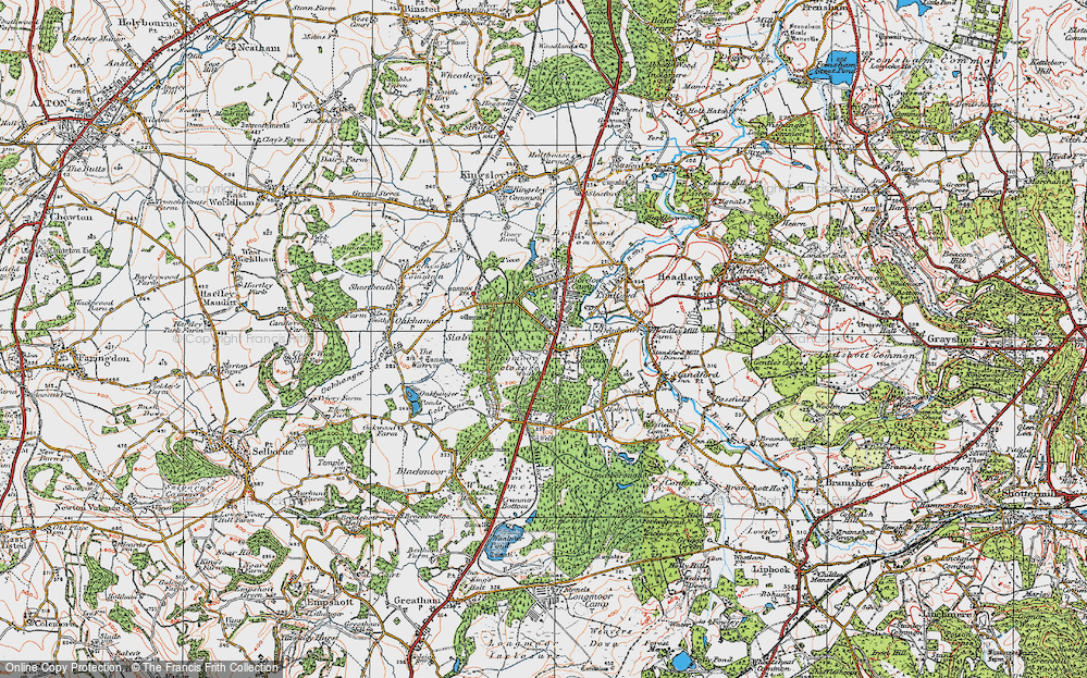 Bordon, 1919