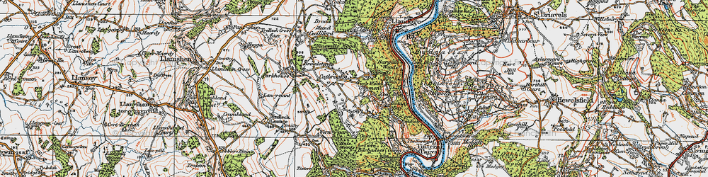 Old map of Wyes Wood Common in 1919
