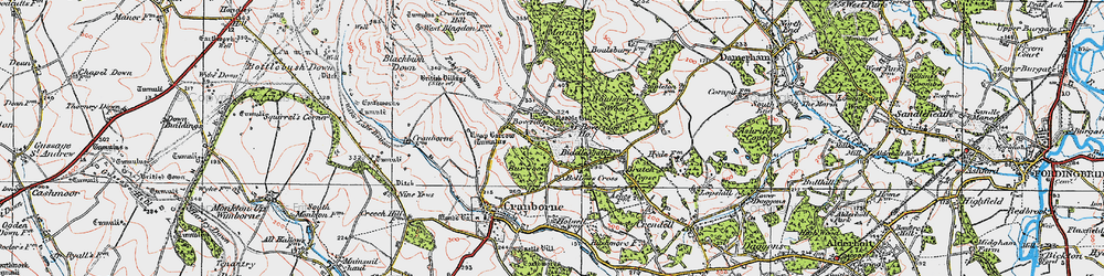 Old map of Boveridge in 1919
