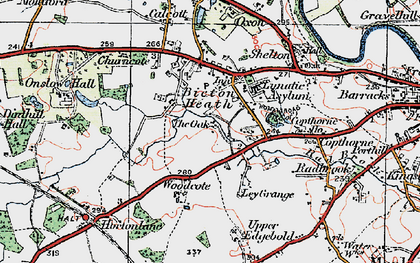 Old map of Woodcote in 1921