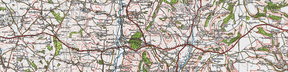 Old map of Bowd in 1919