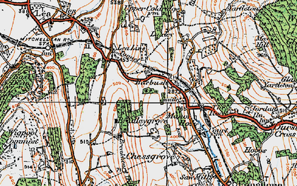 Old map of Boxbush in 1919