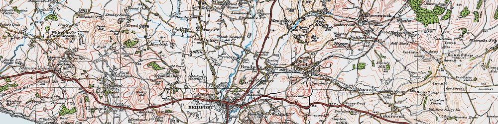 Old map of Bradpole in 1919
