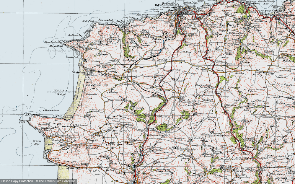 Old Map of Historic Map covering Buttercombe Barton in 1919