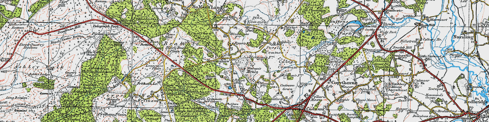 Old map of Bramshaw in 1919