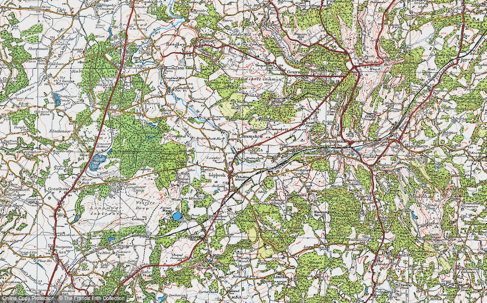 Old Map of Bramshott, 1919 in 1919