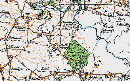 Old map of Brand Green in 1919