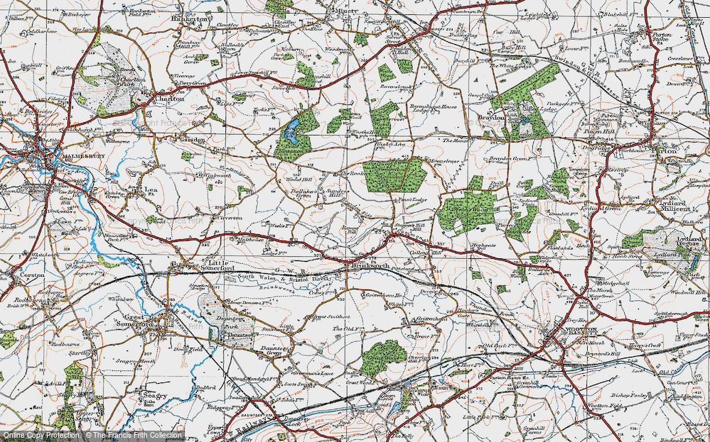 Old Map of Historic Map covering Braydon Wood in 1919