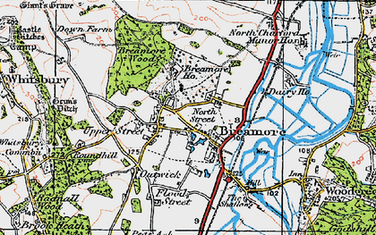 Old map of Breamore in 1919