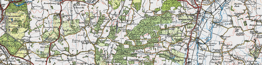Old map of Blackfan Wood in 1919