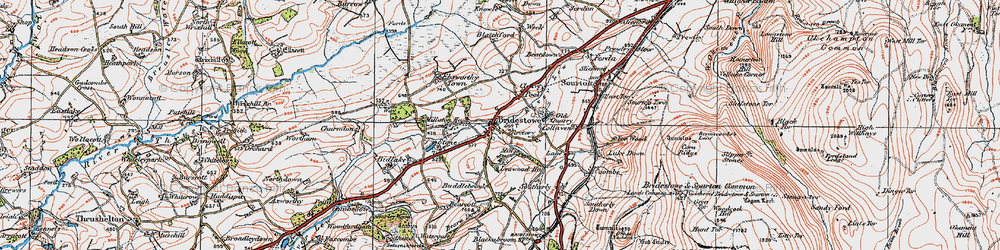 Old map of Bridestowe in 1919